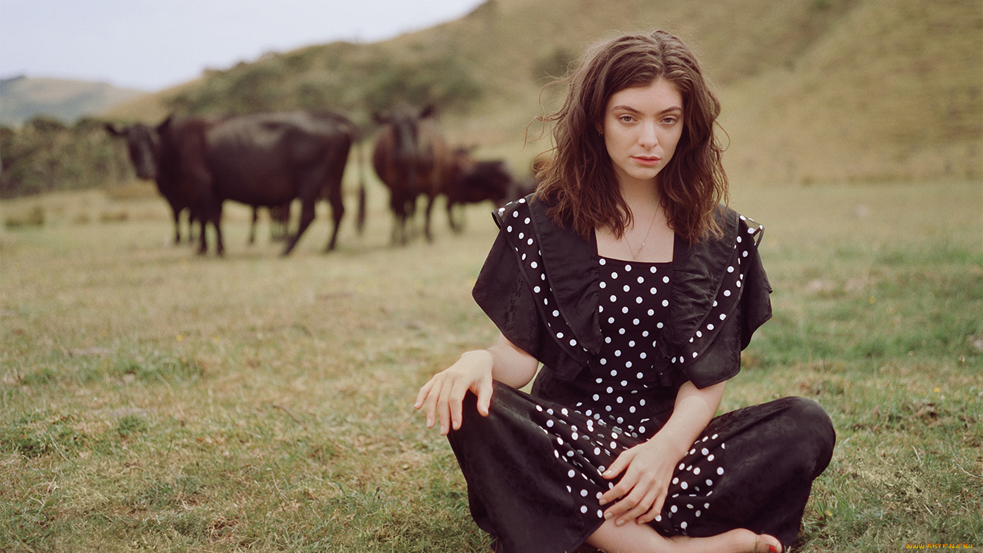 девушка, девушки, -unsort, , брюнетки, темноволосые, модель