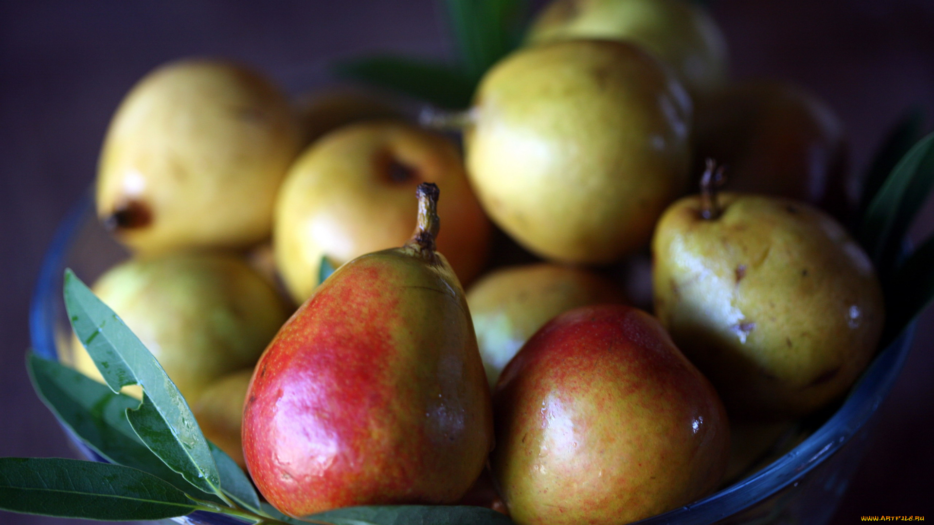 еда, груши, фрукты