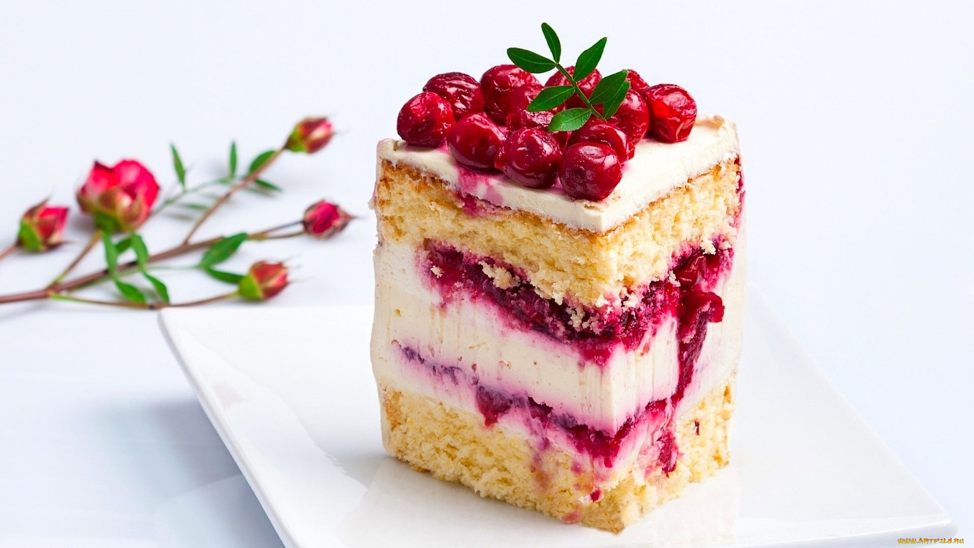 еда, торты, торт, вишни
