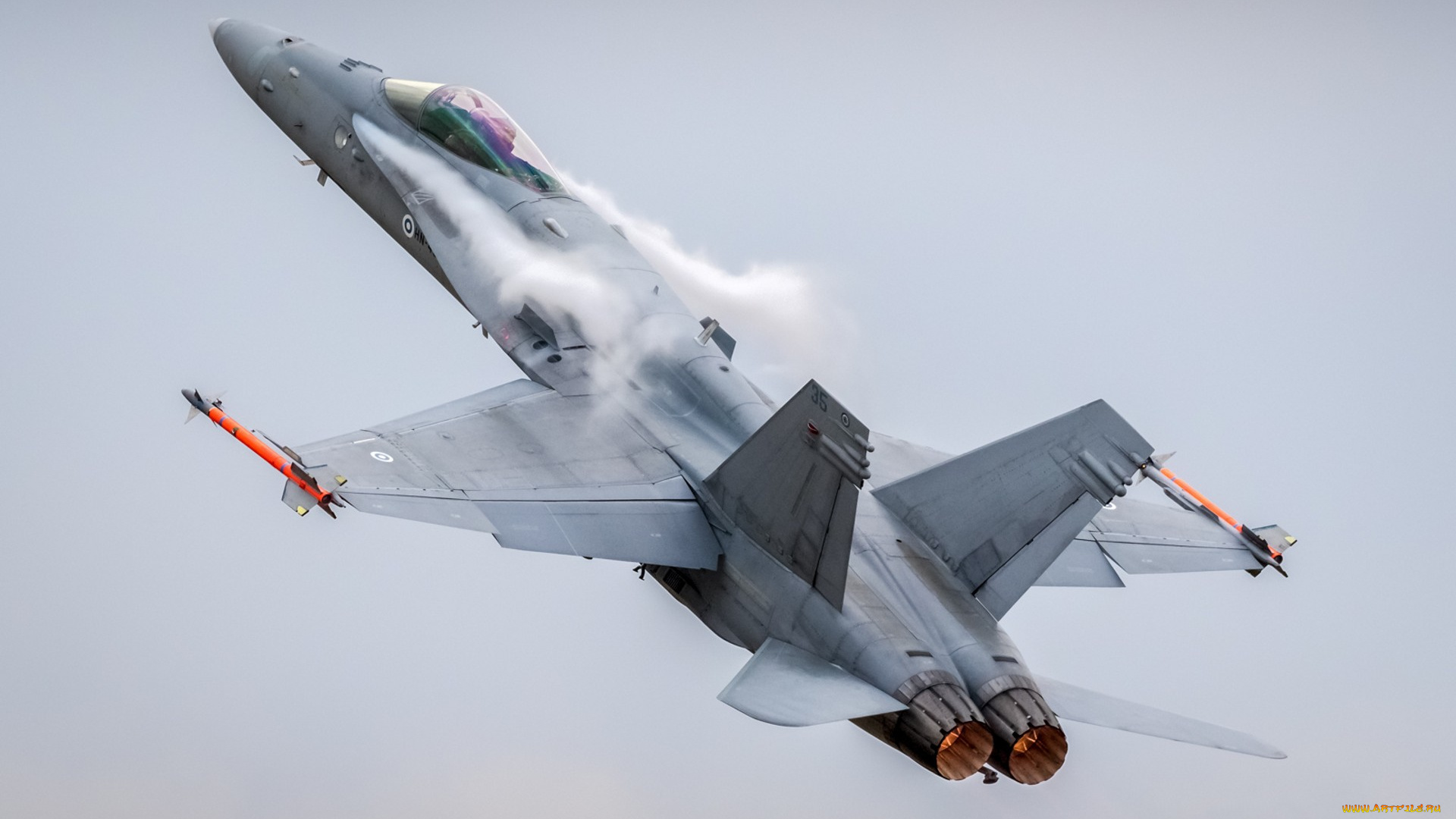 hornet, авиация, боевые, самолёты, ввс