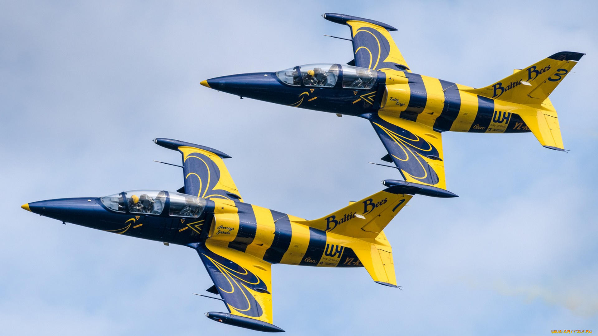 l-39c, albatross, авиация, боевые, самолёты, ввс