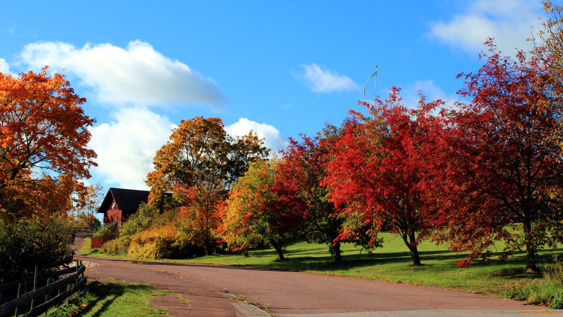 природа, дороги, деревья, дорога, осень