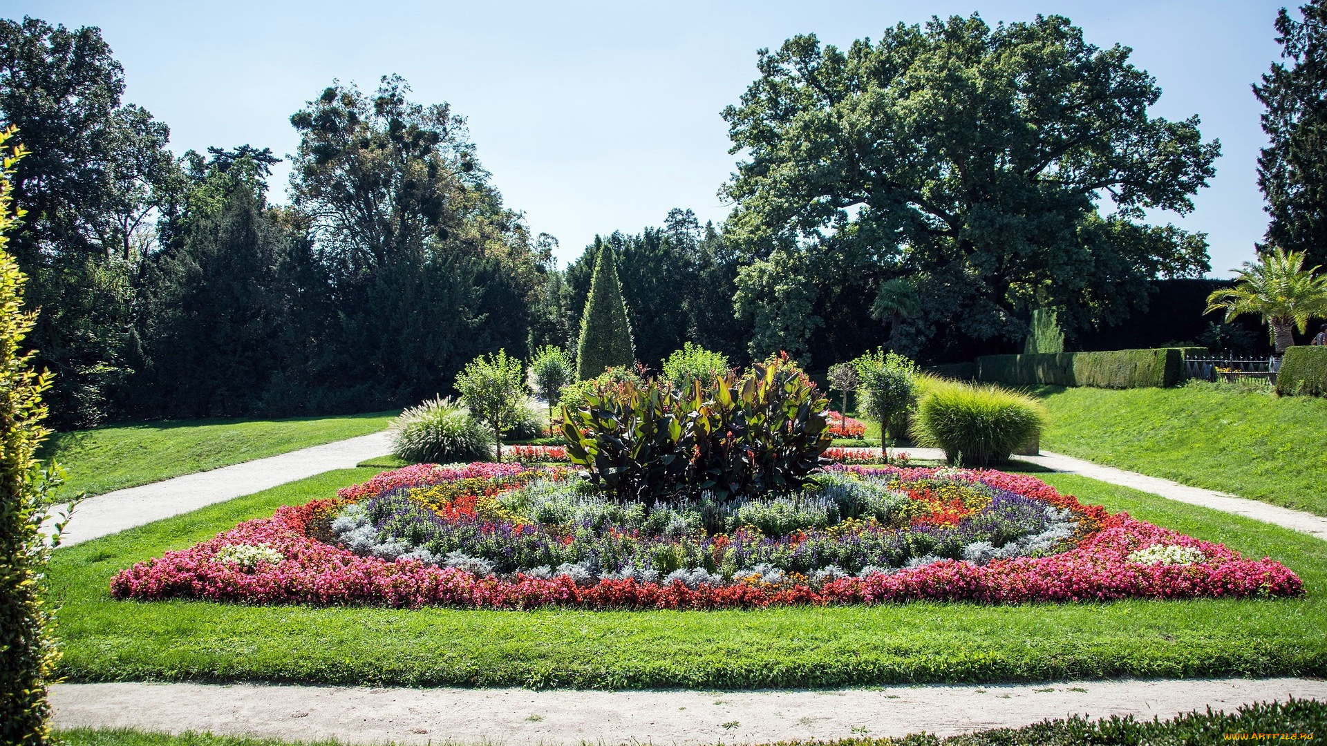 природа, парк, клумба