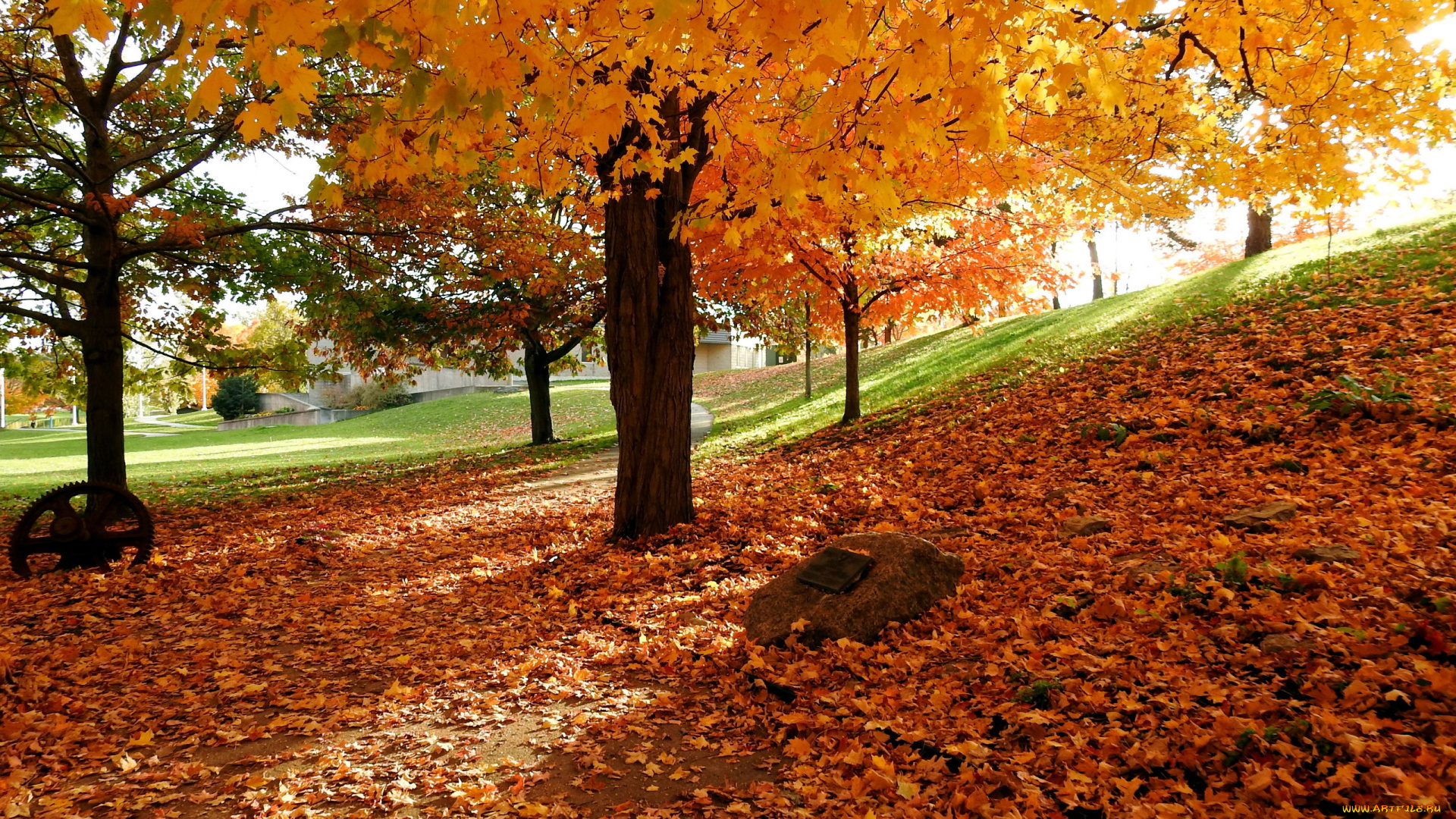 природа, парк, листопад, осень