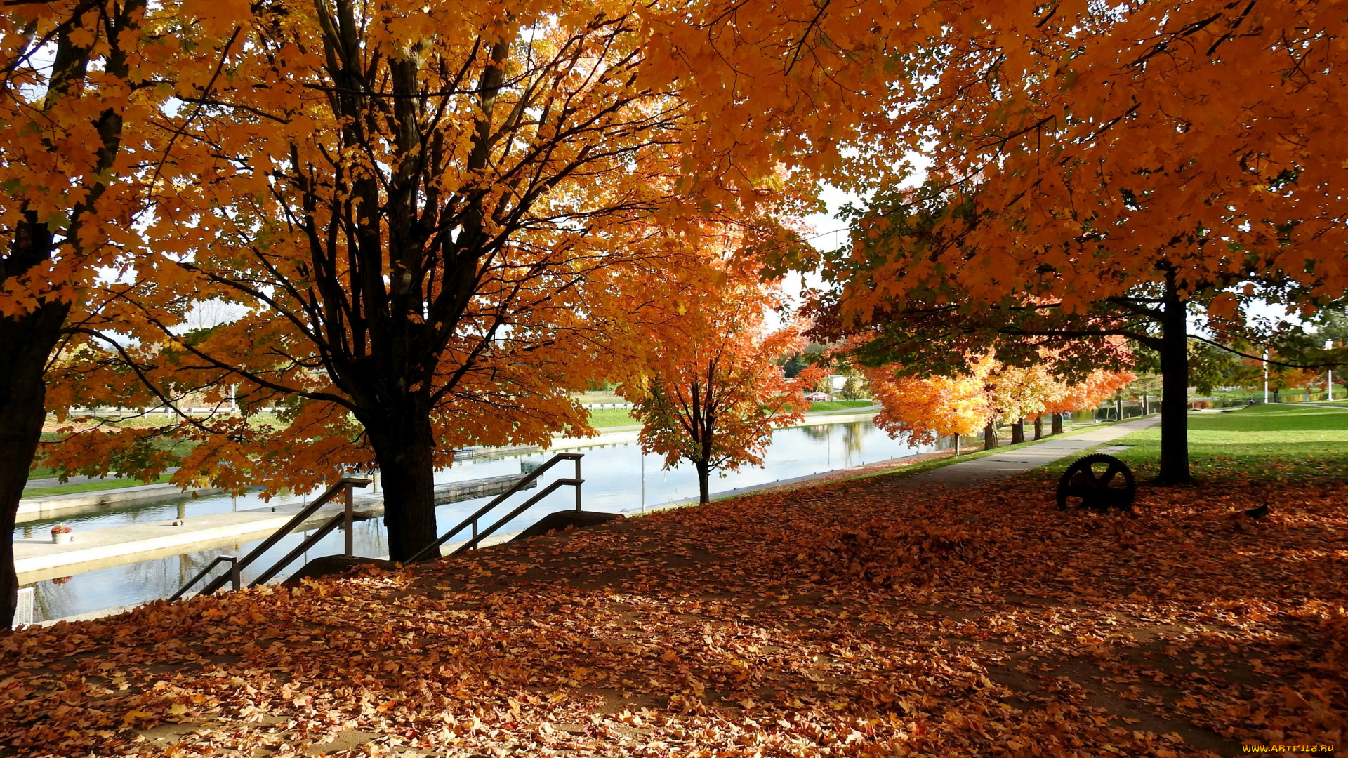 природа, парк, листопад, осень