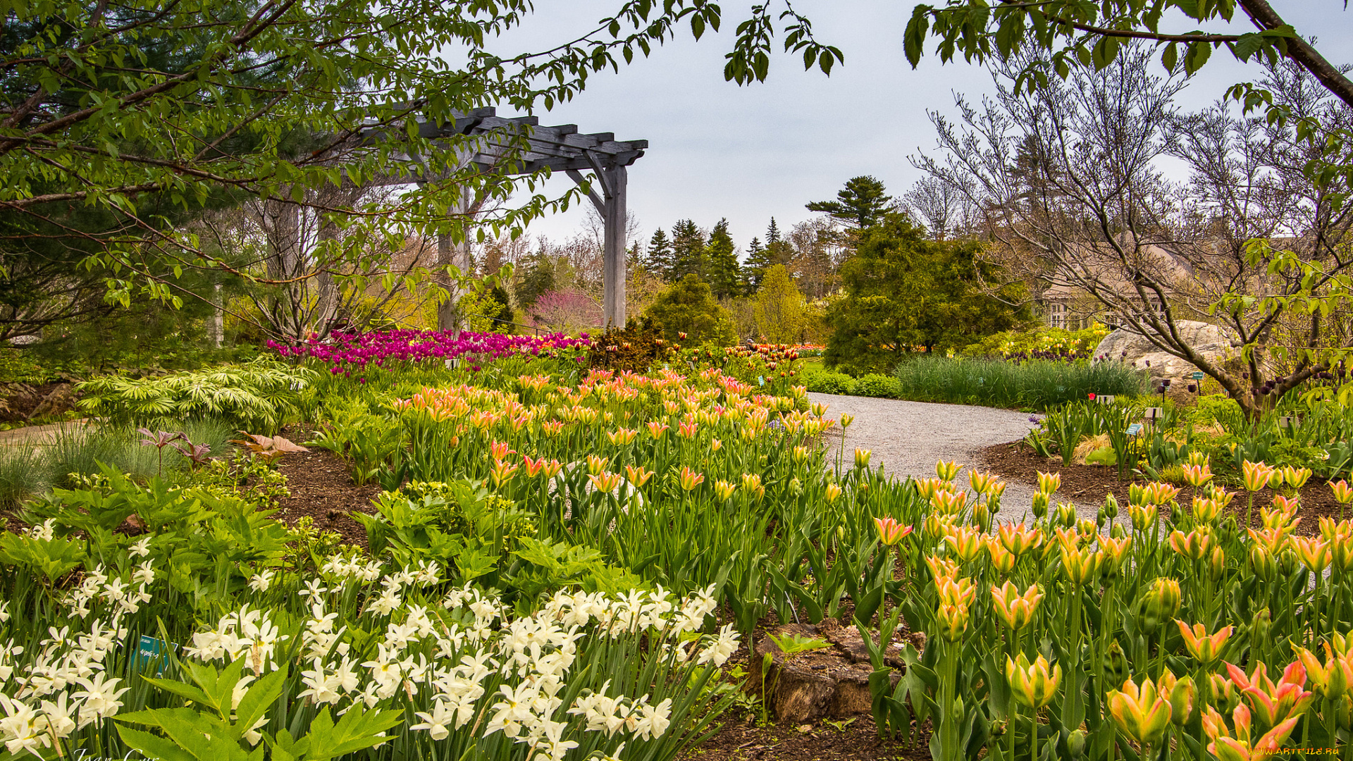 природа, парк, простор