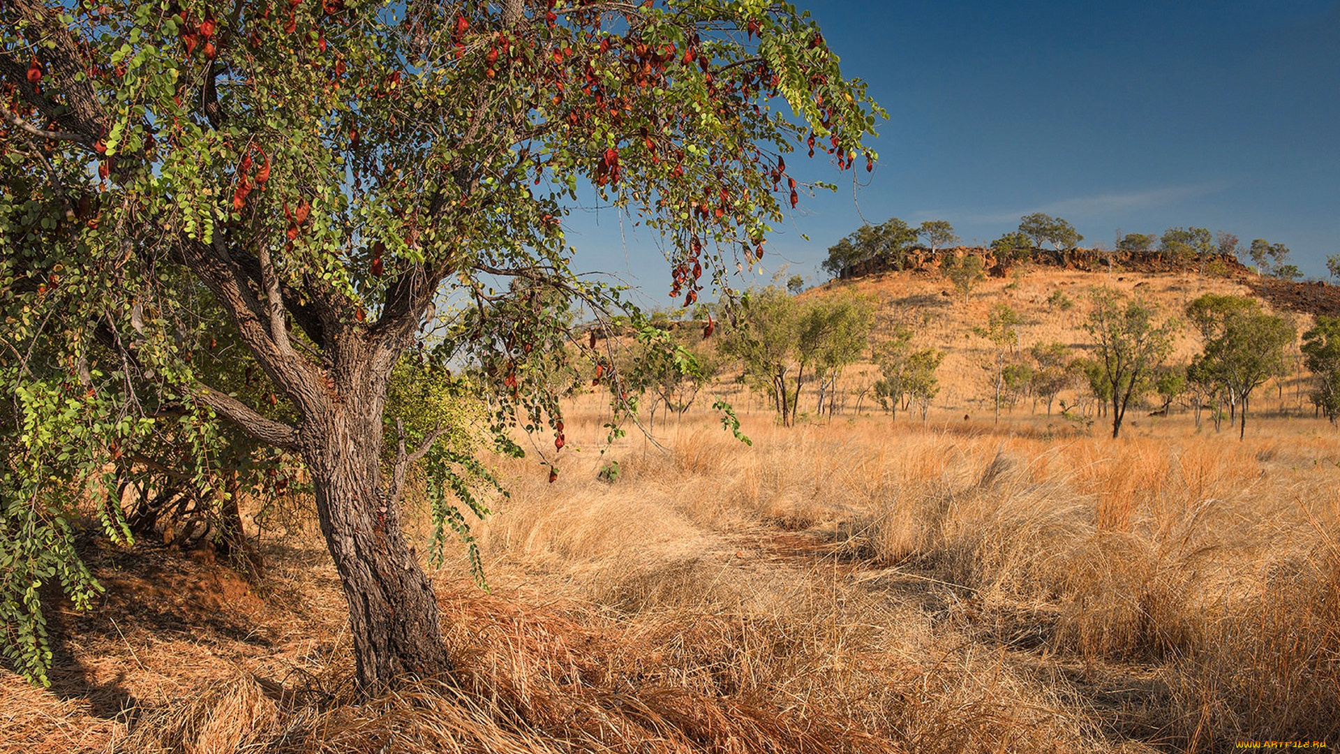 природа, пейзажи, простор