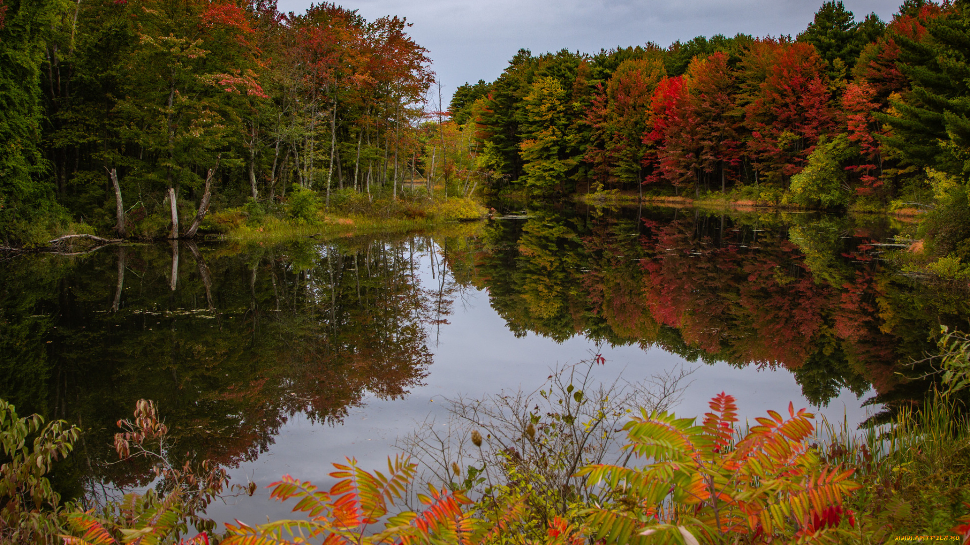 природа, реки, озера, простор