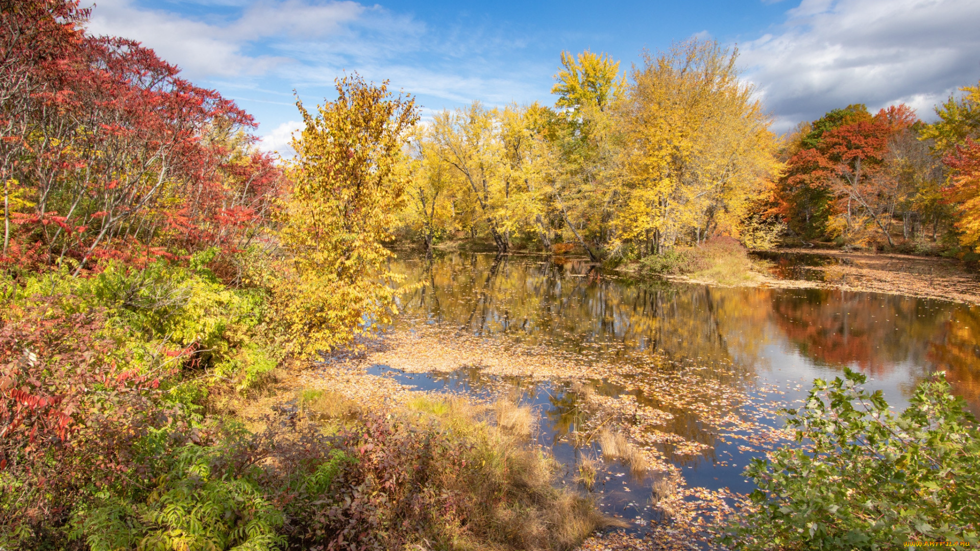 природа, реки, озера, простор