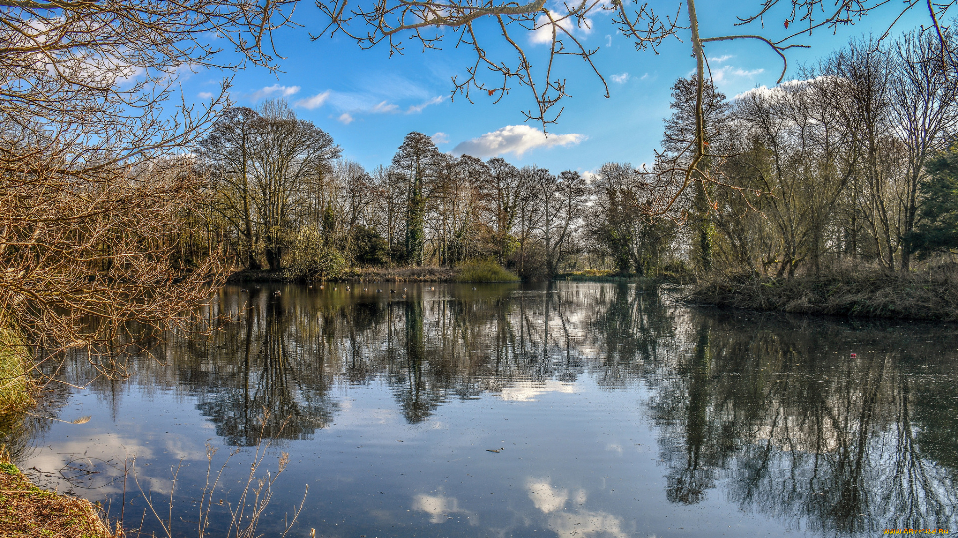 природа, реки, озера, простор