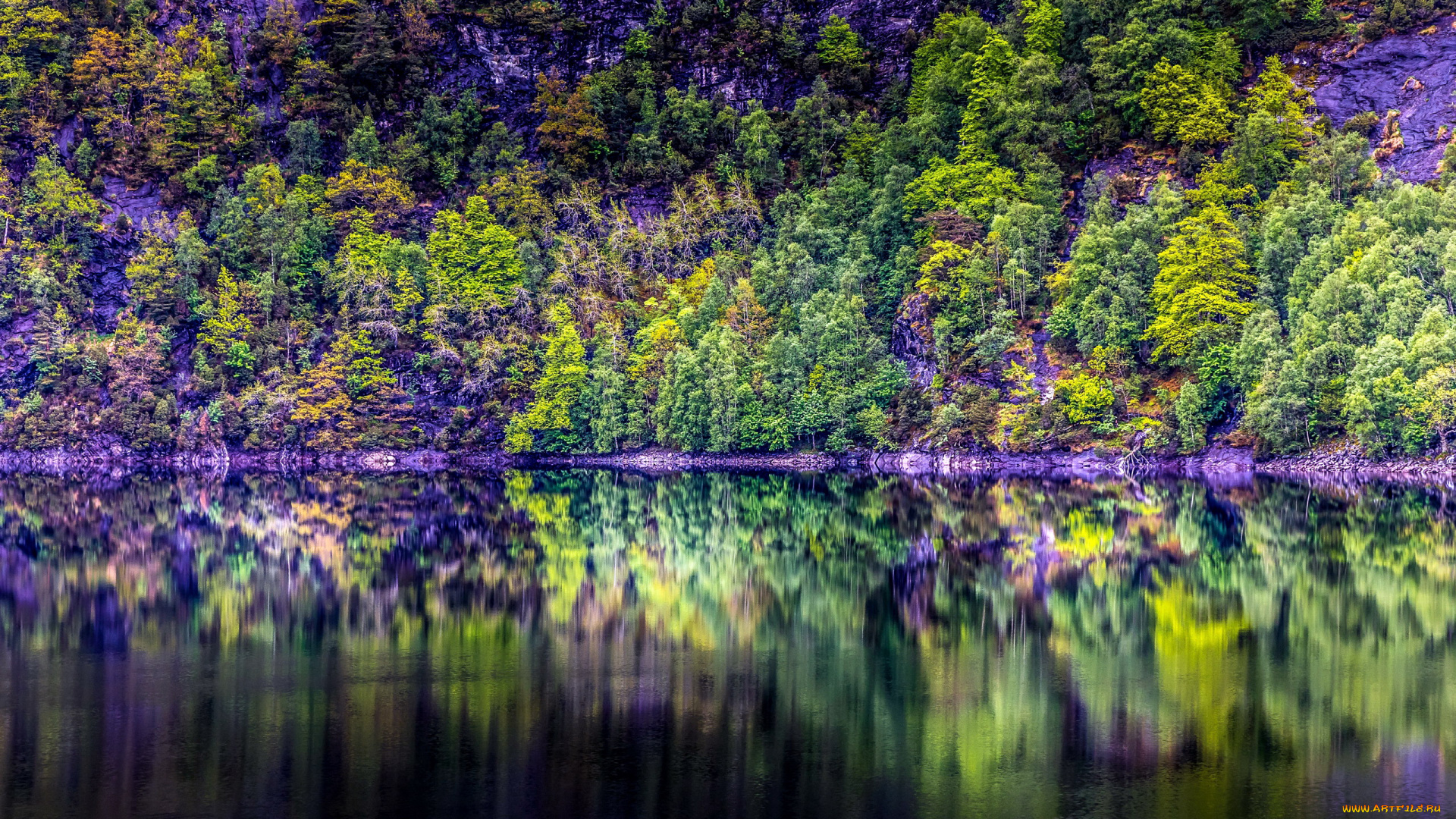 природа, реки, озера, река, вода