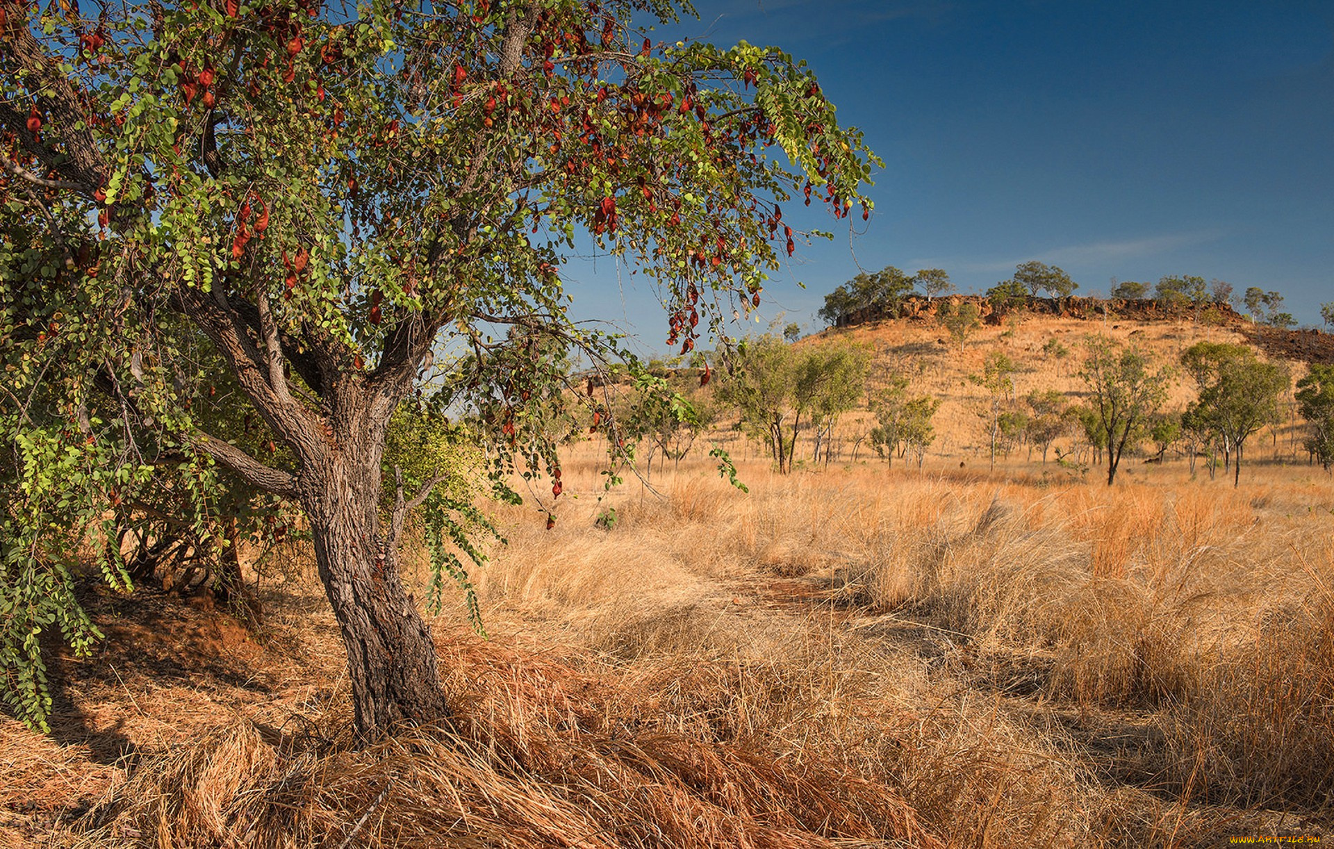 природа, пейзажи, простор