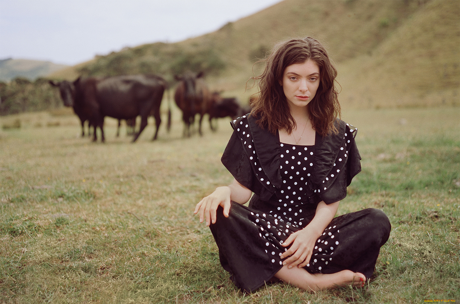 девушка, девушки, -unsort, , брюнетки, темноволосые, модель