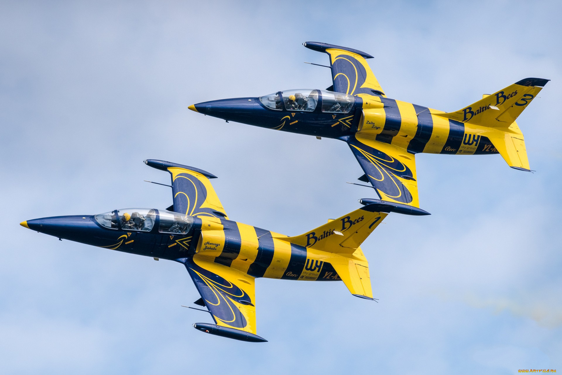 l-39c, albatross, авиация, боевые, самолёты, ввс