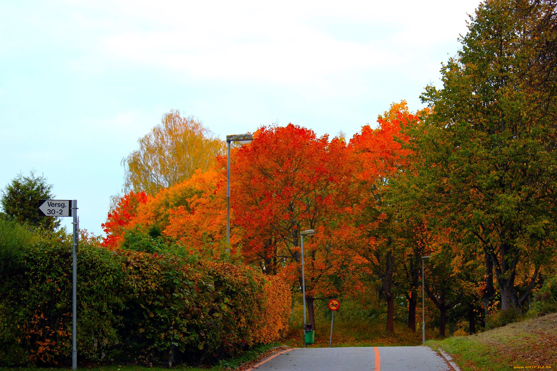 природа, дороги, деревья, дорога, осень