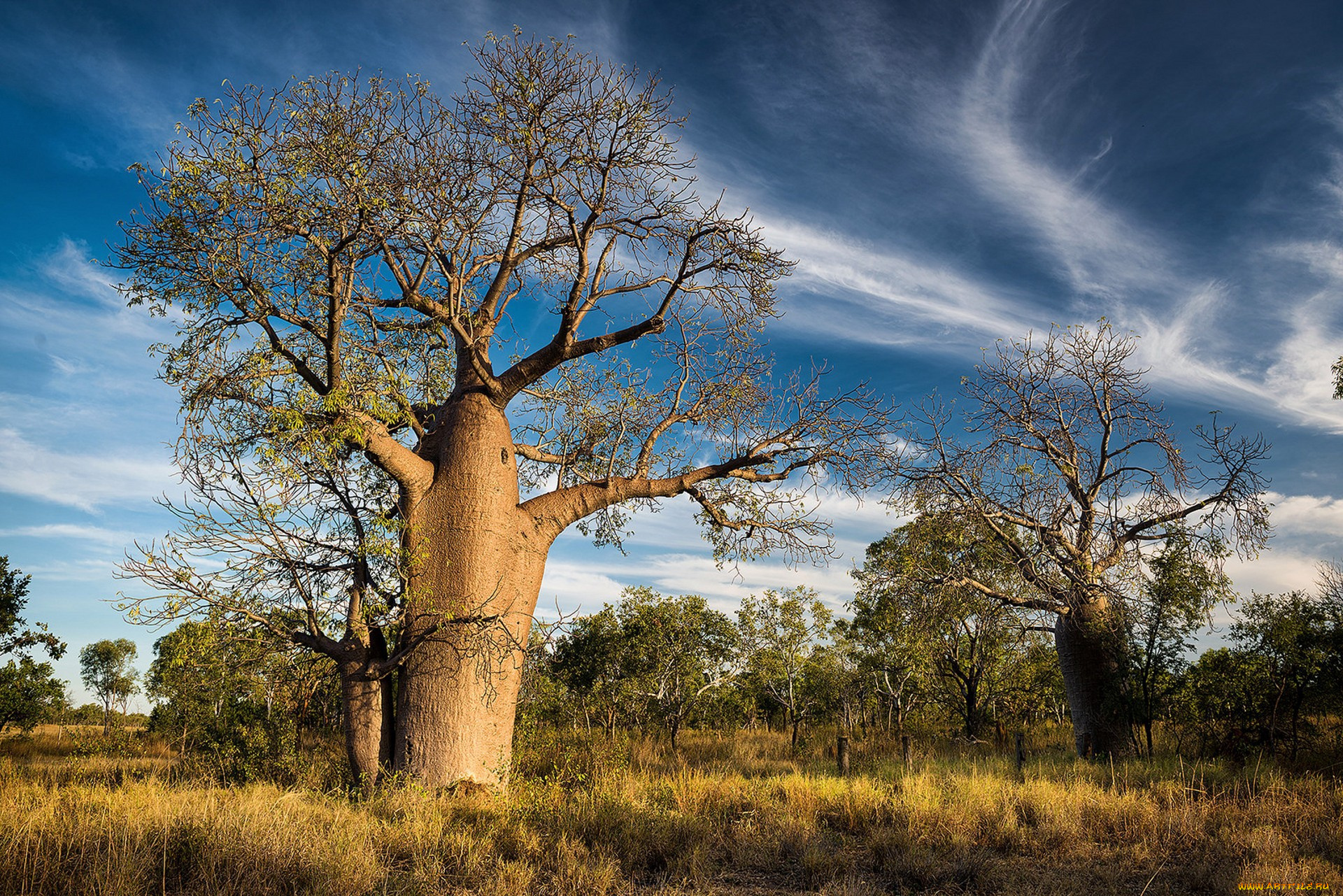 аниме, sailor, moon, девушка