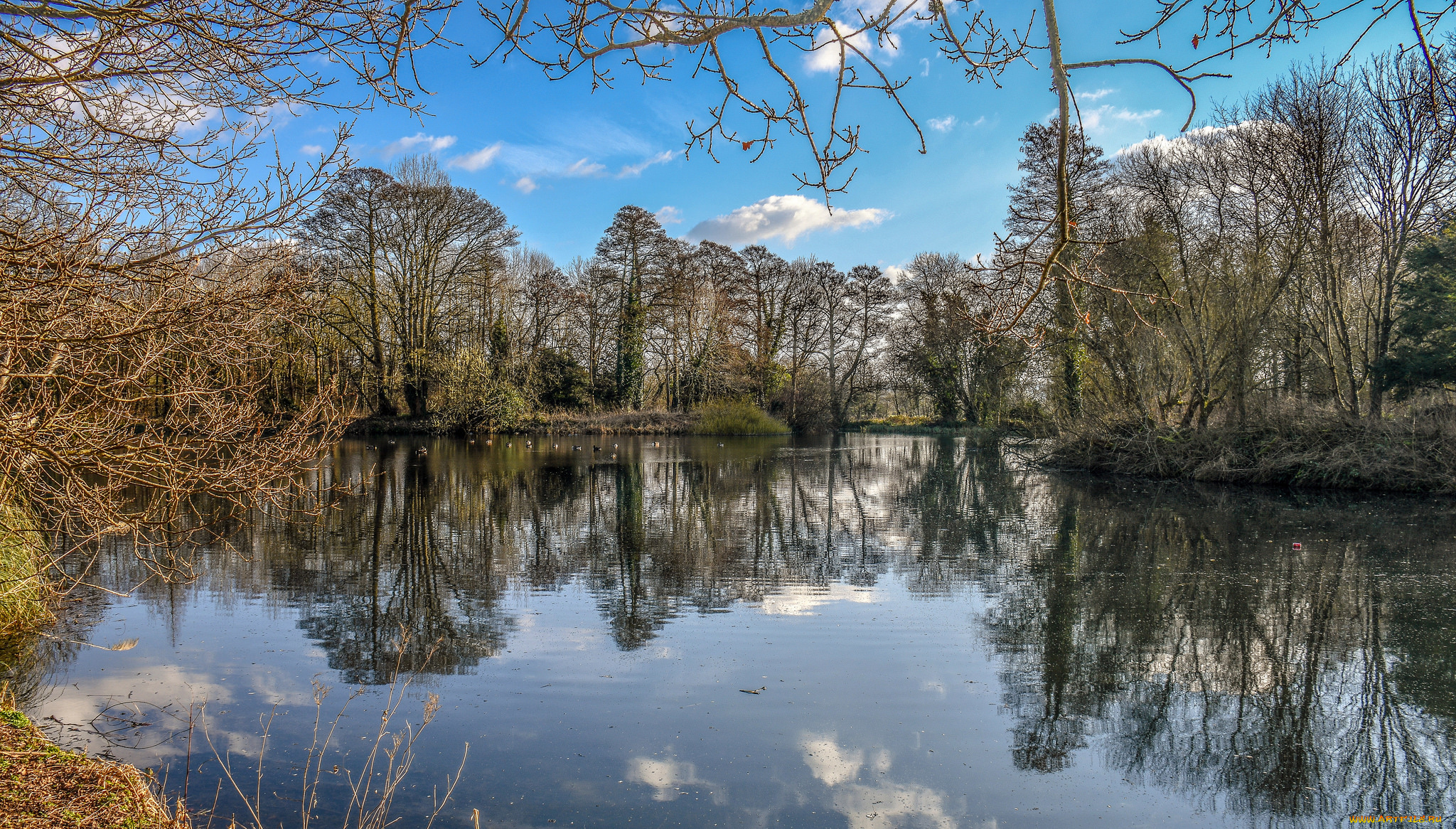 природа, реки, озера, простор