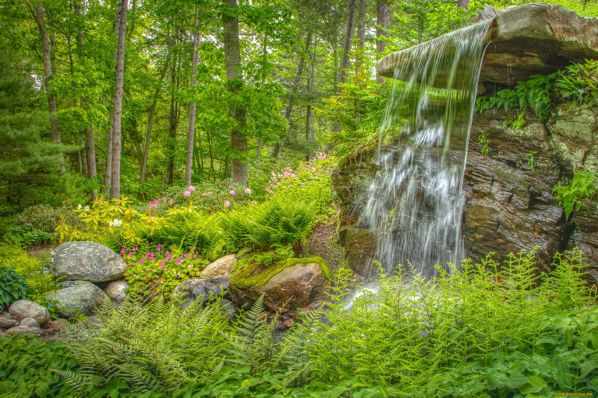 природа, лес, простор