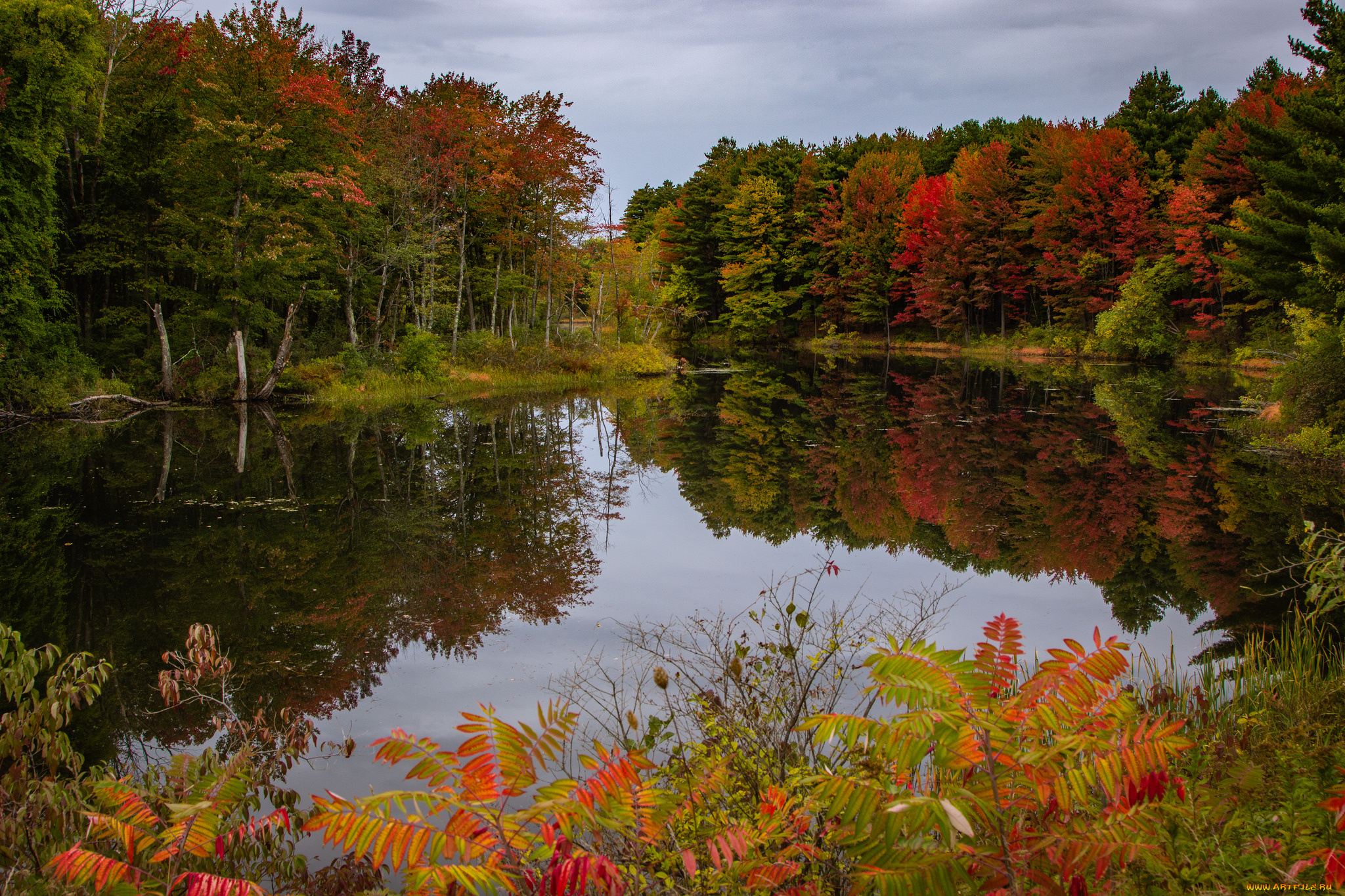 природа, реки, озера, простор