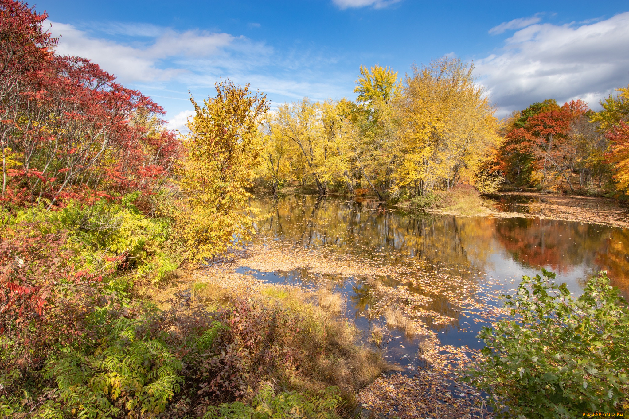 природа, реки, озера, простор