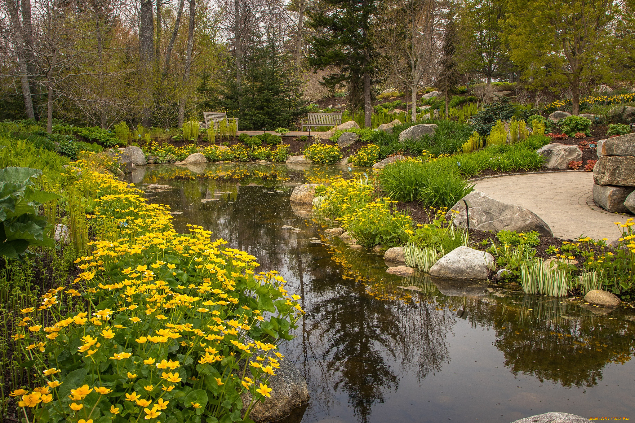 природа, парк, простор