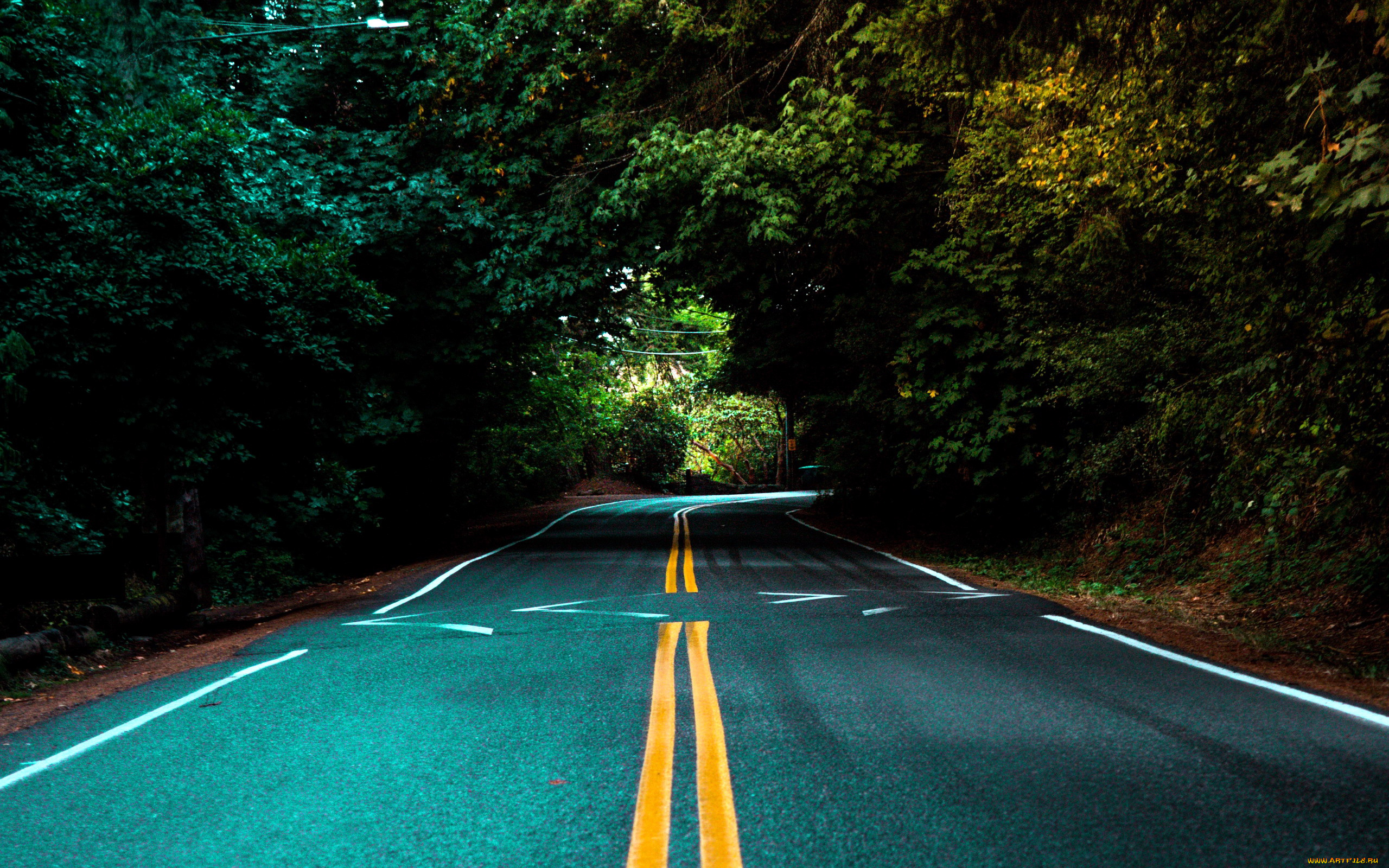 природа, дороги, шоссе