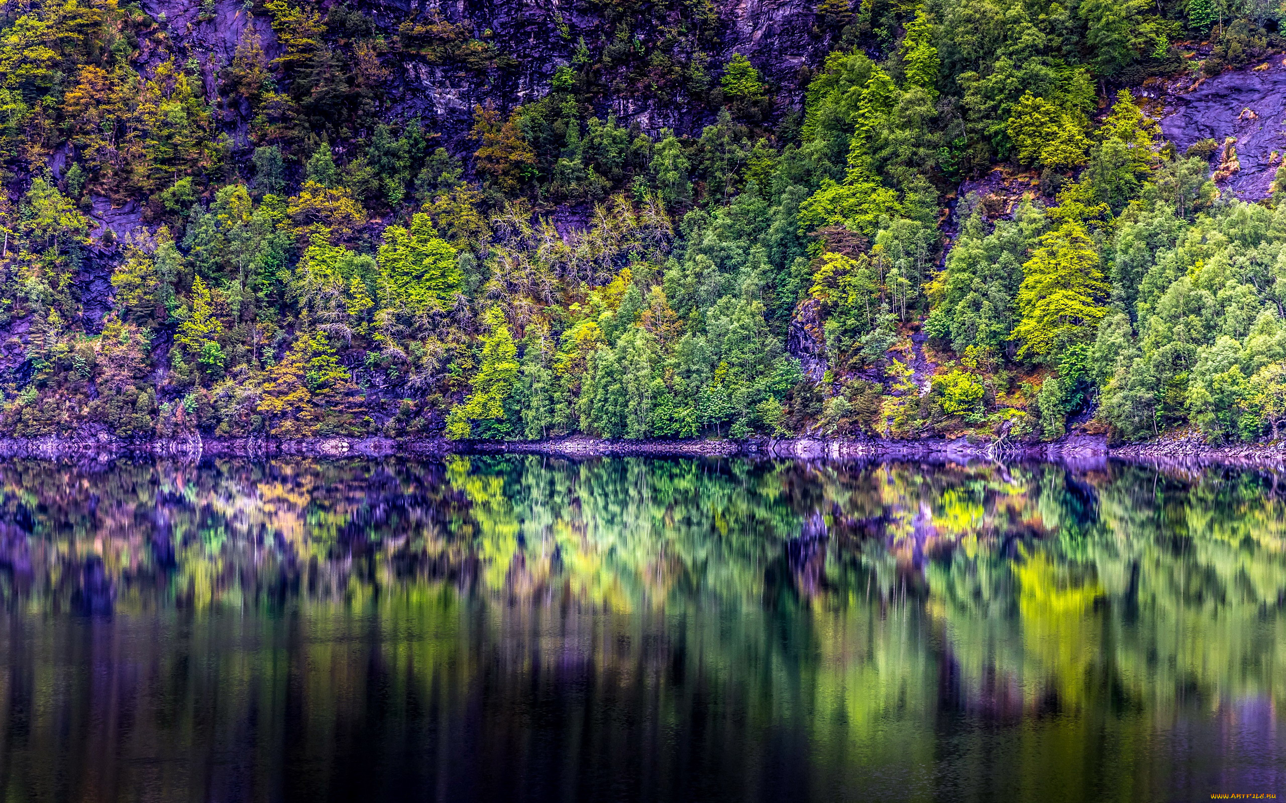 природа, реки, озера, река, вода