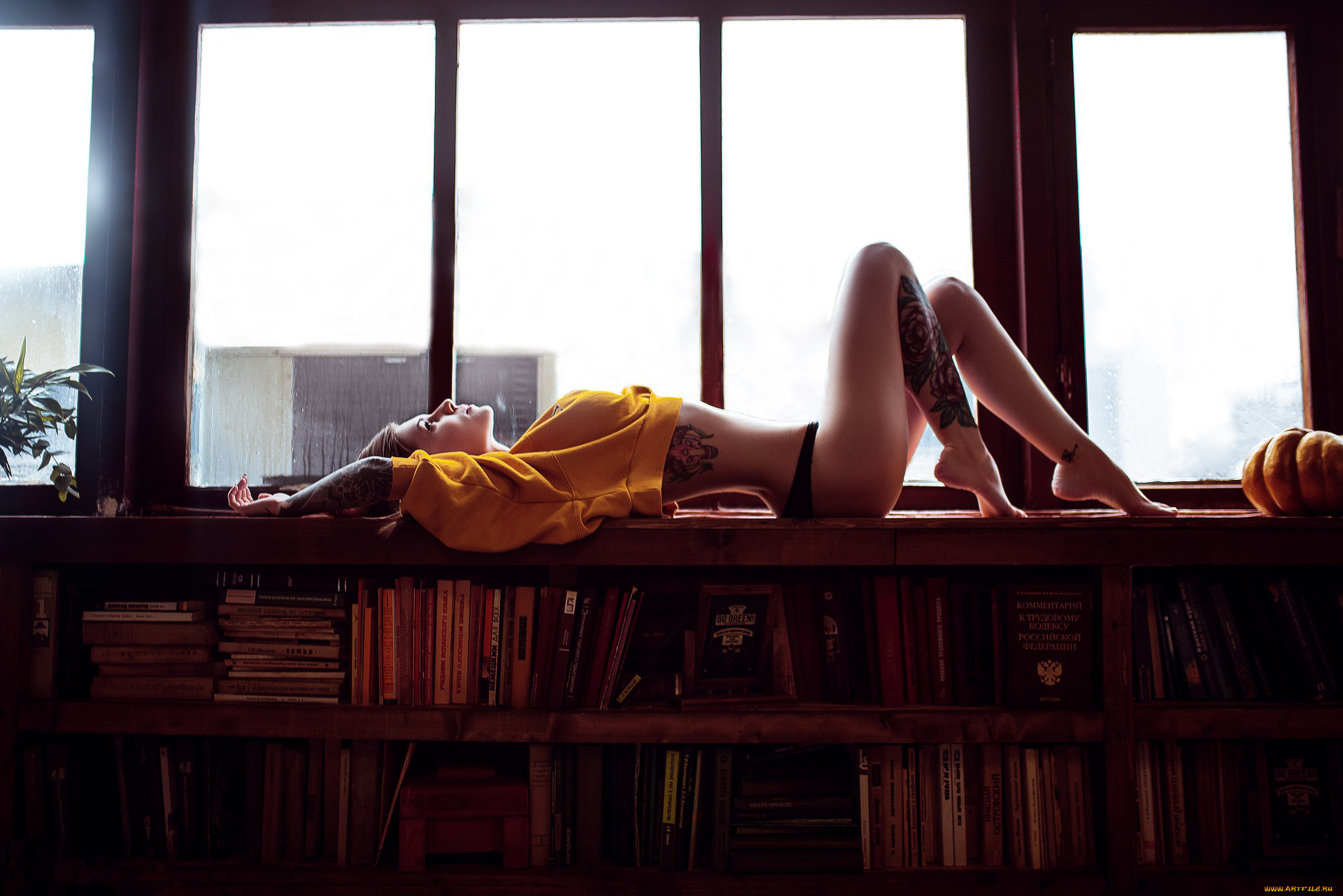 девушка, девушки, -unsort, , брюнетки, темноволосые, модель