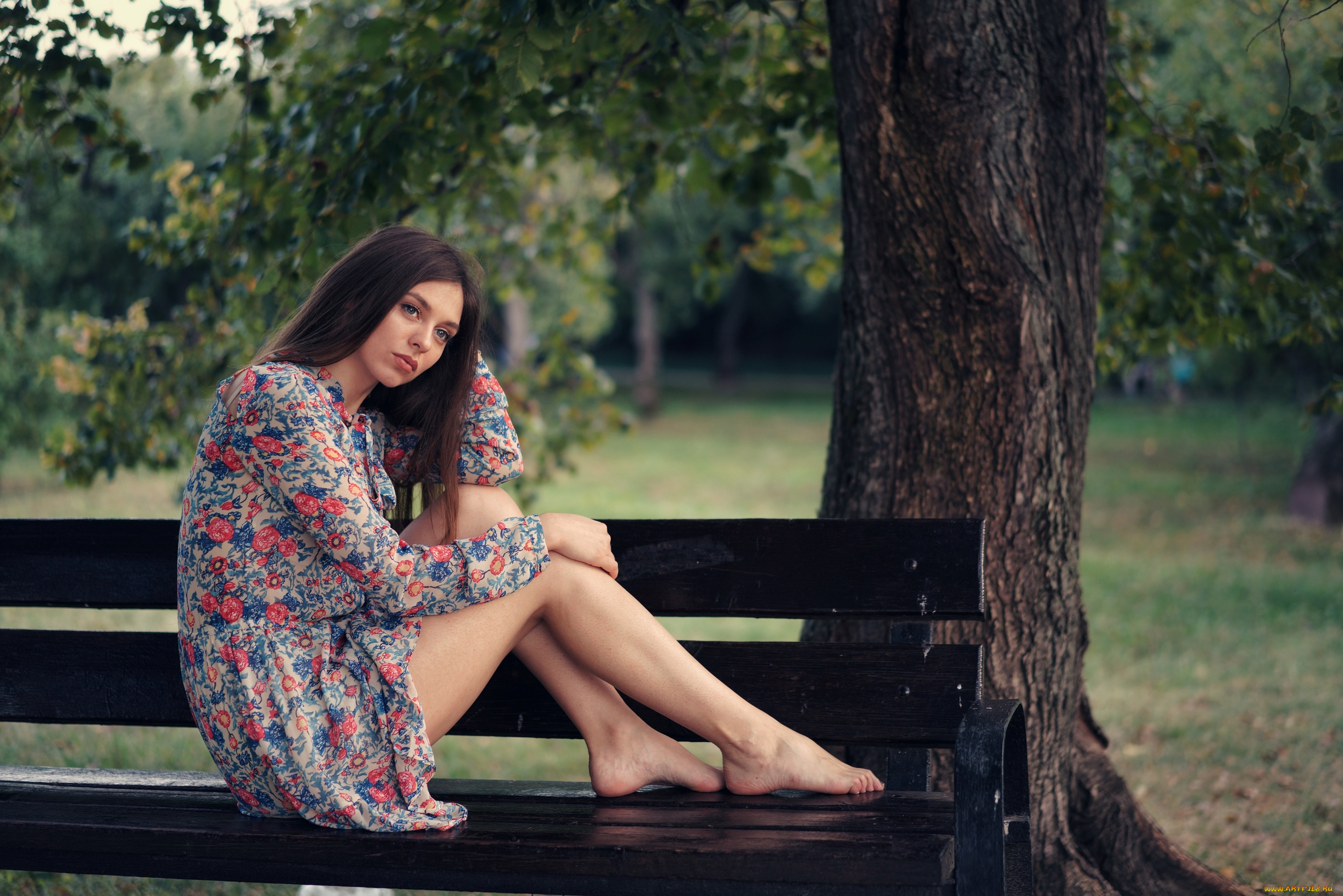 девушка, девушки, -unsort, , брюнетки, темноволосые, модель