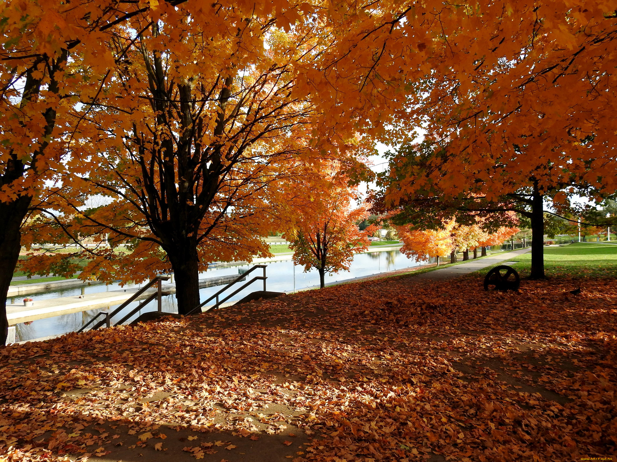 природа, парк, листопад, осень