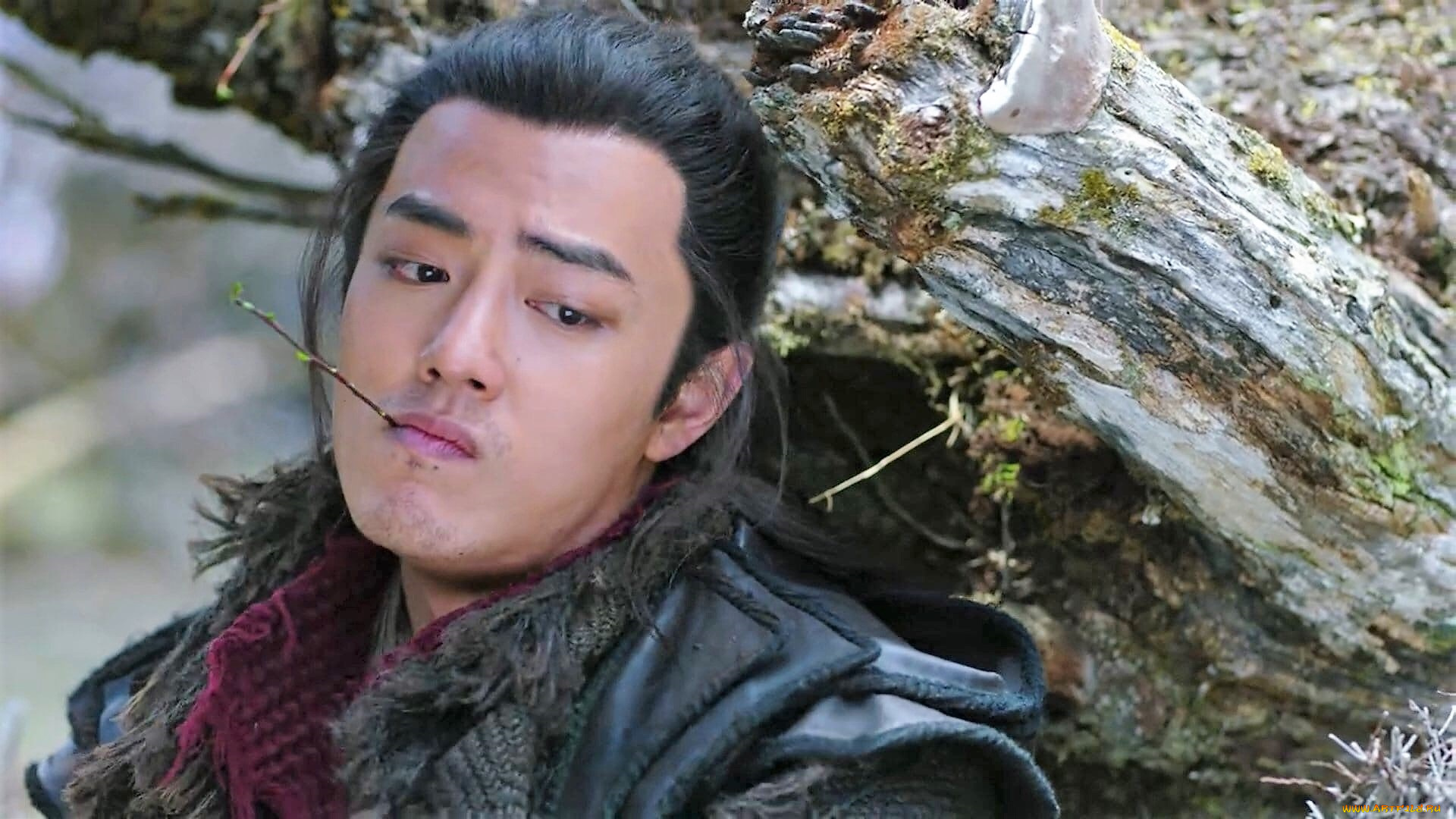 кино, фильмы, the, wolf, цзичун, лицо, коряга