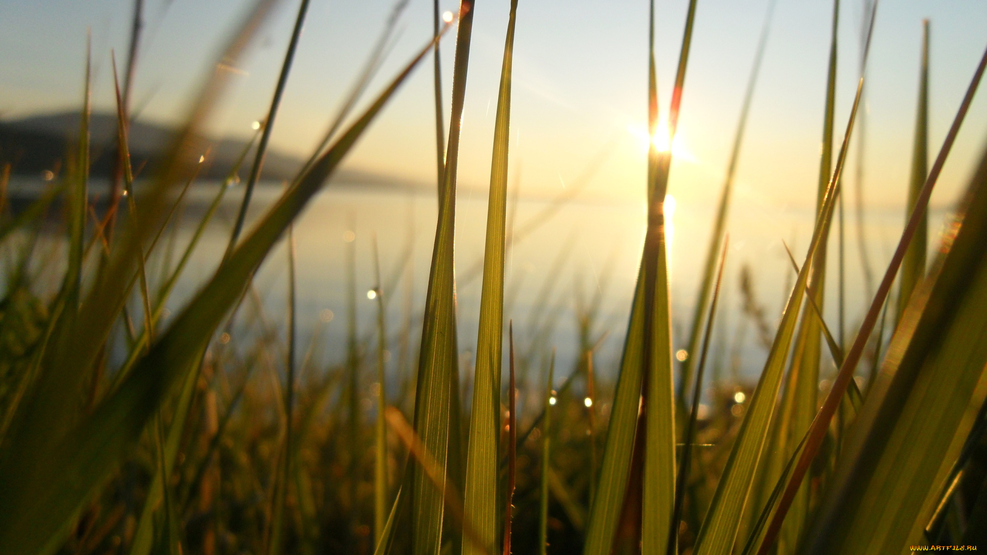 природа, восходы, закаты, трава, озеро, рассвет