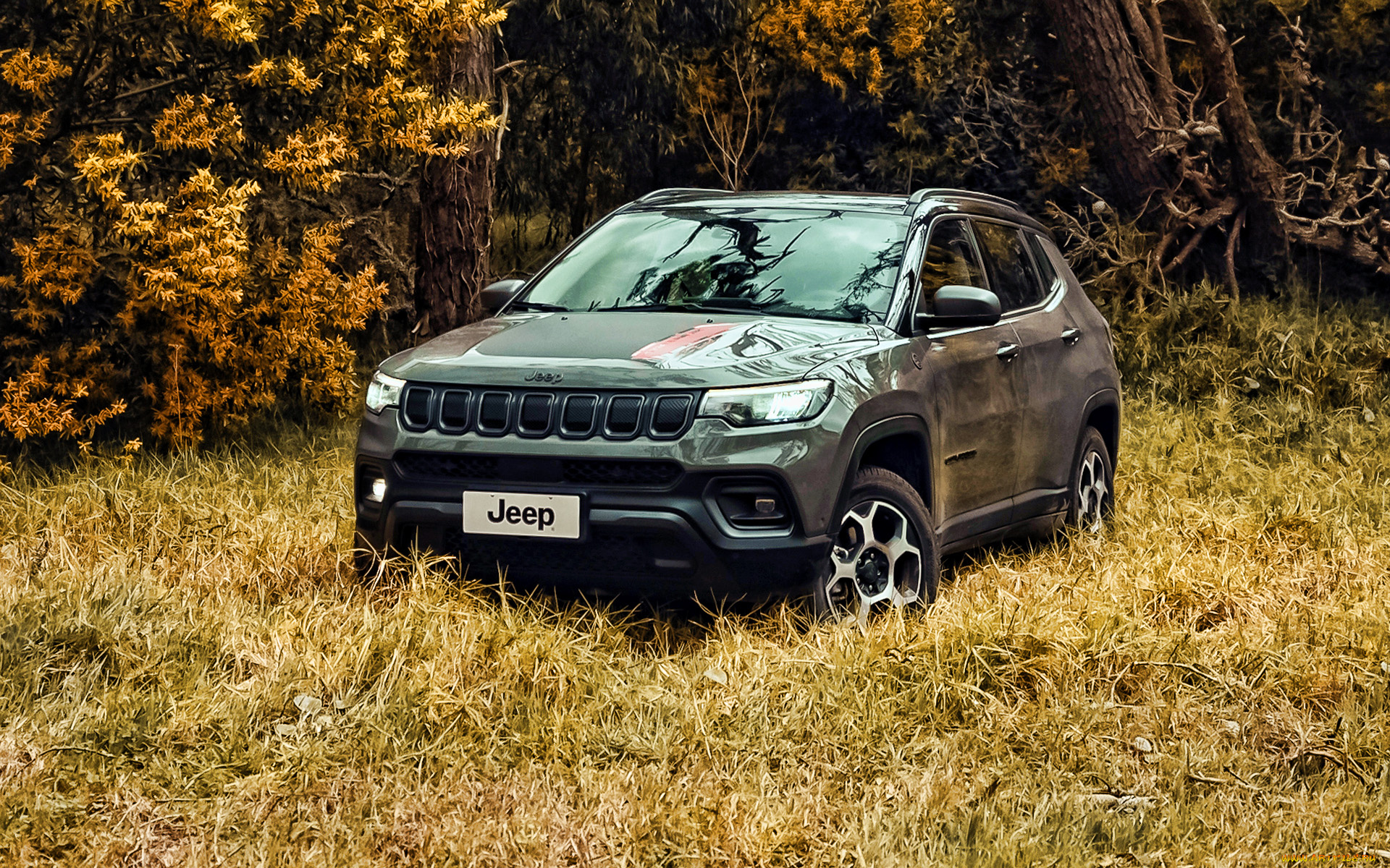 автомобили, jeep, compass, trailhawk, 4k, внедорожник, 2021, года, природа, американские, джип
