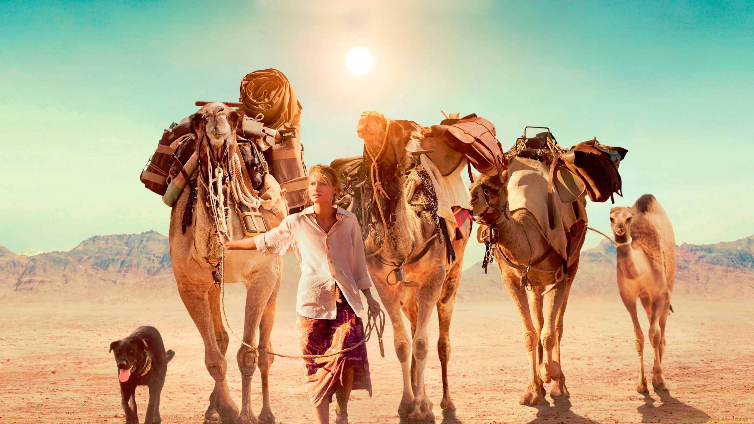 tracks, , 2013, кино, фильмы, -unknown, , другое, tracks, mia, wasikowska, биография, драма, robyn, davidson, миа, васиковска