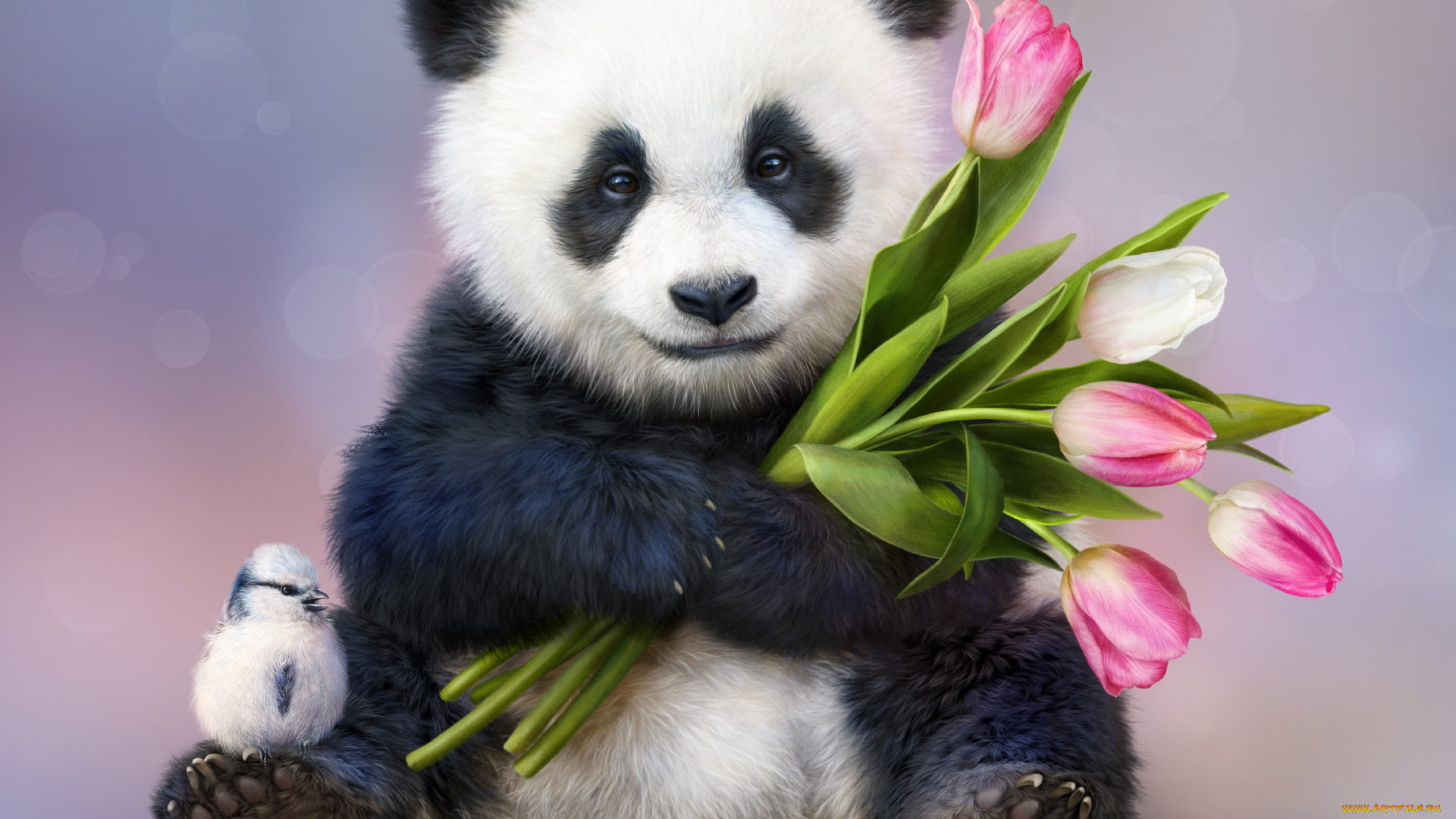 рисованное, животные, , панды, панда