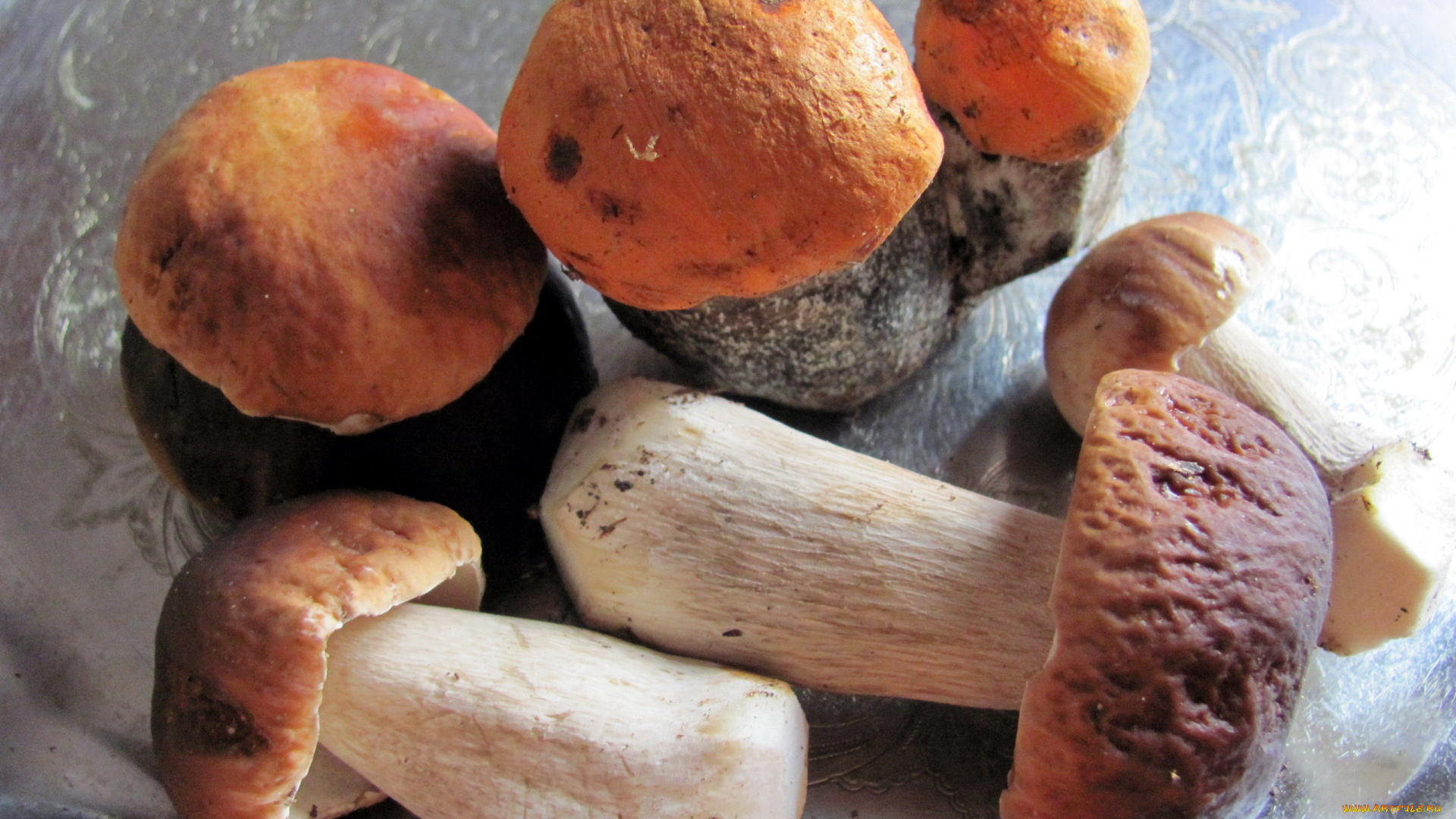 еда, грибы, , грибные, блюда, свежие, лесные, боровики, подосиновики