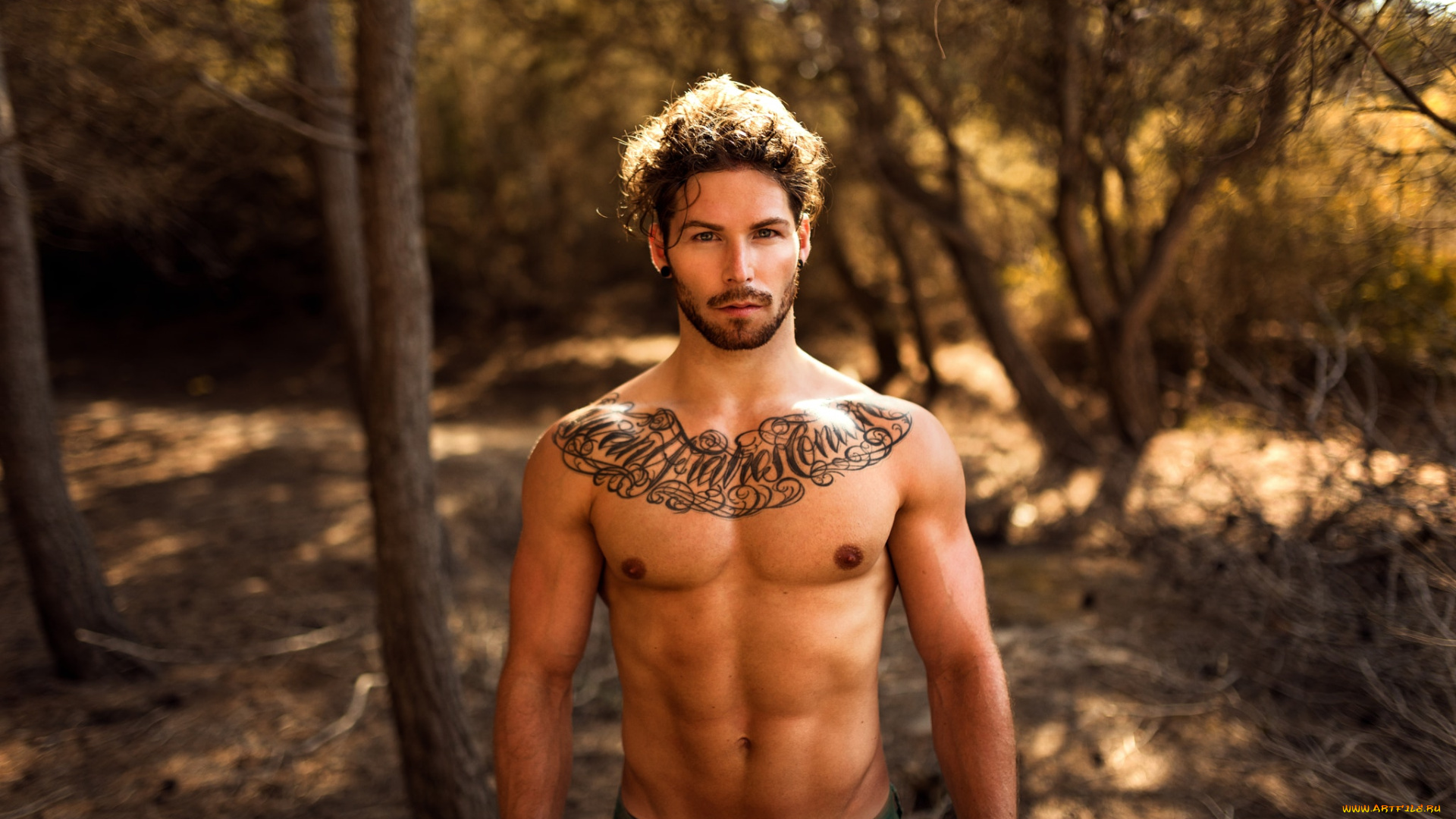 мужчины, -unsort, на, природе, голый, торс, татуировки, без, рубашки, miro, hofmann