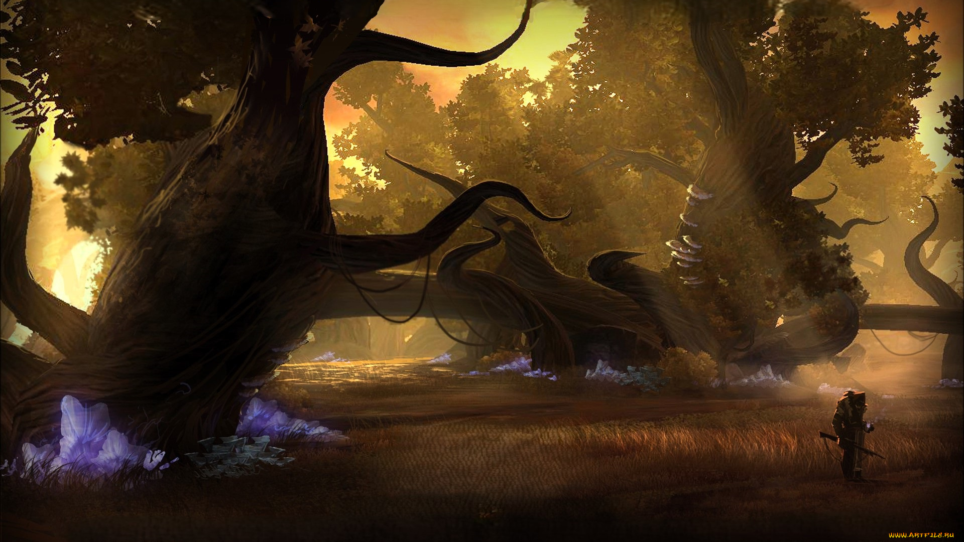 видео, игры, star, wars, , the, old, republic, человек, деревья, лучи