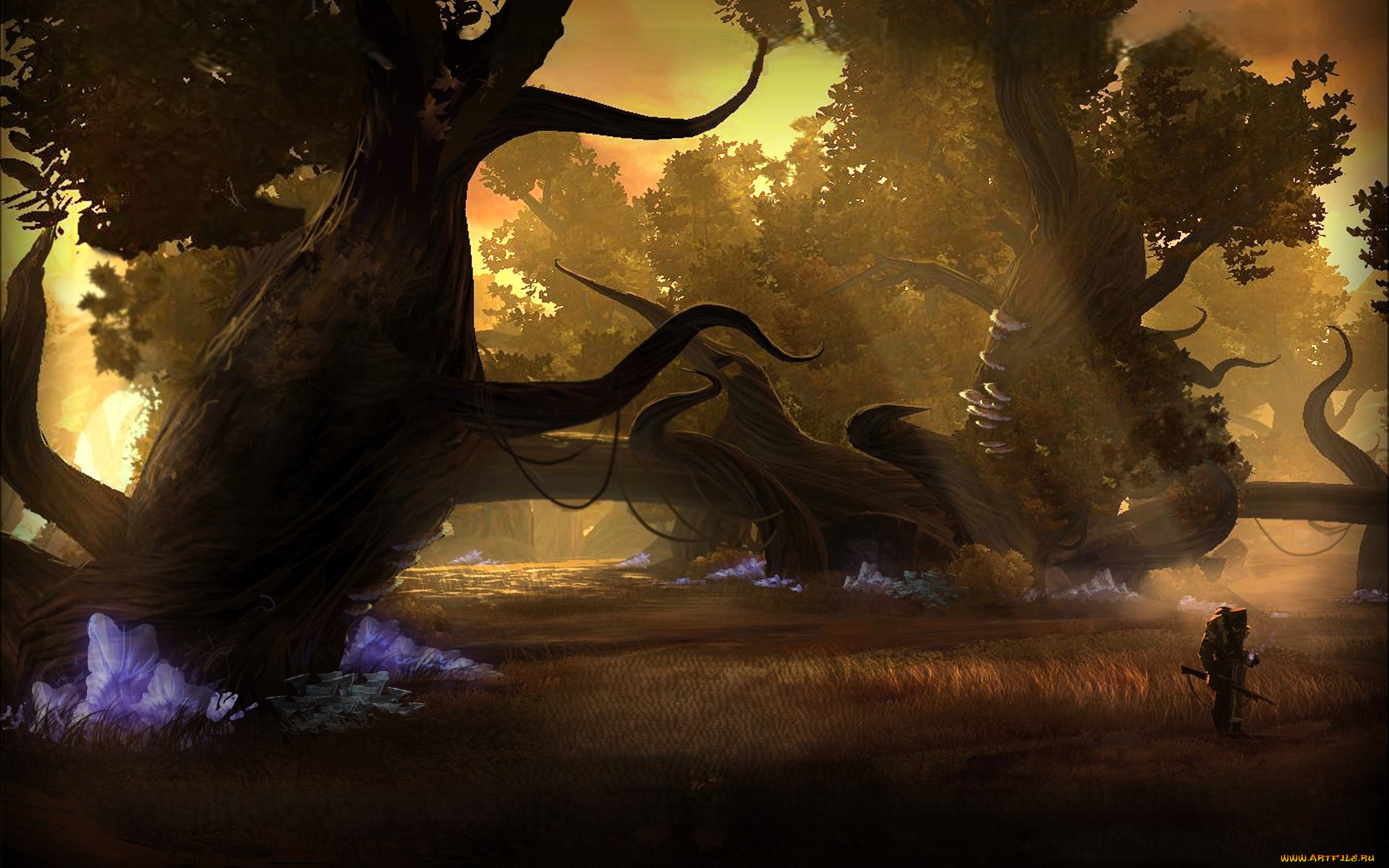 видео, игры, star, wars, , the, old, republic, человек, деревья, лучи