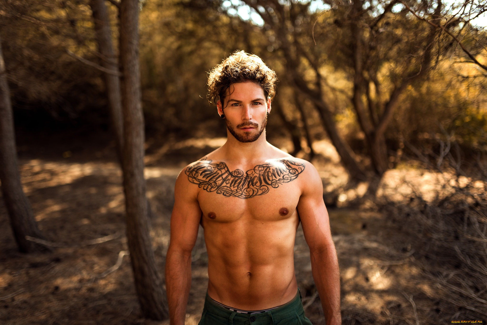 мужчины, -unsort, на, природе, голый, торс, татуировки, без, рубашки, miro, hofmann