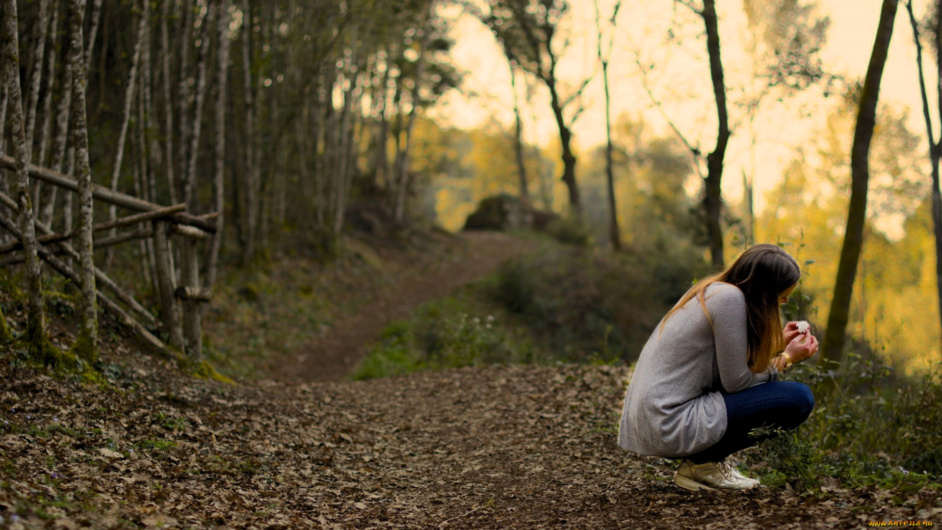 девушки, -, брюнетки, , шатенки, шатенка, свитер, штаны, лес, деревья, дорожка, листья