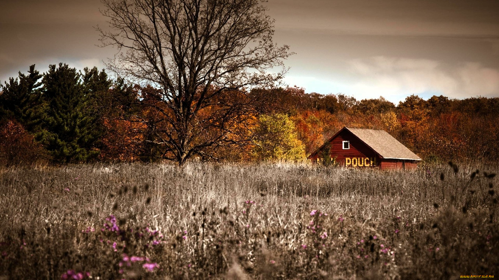 города, -, здания, , дома, дом, луг, трава, деревья, лес, осень