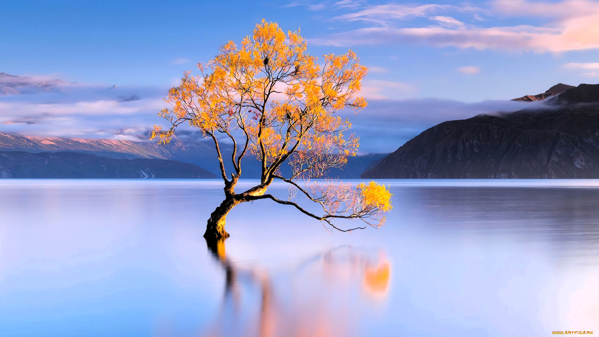 природа, реки, озера, дерево, озеро, осень, горы