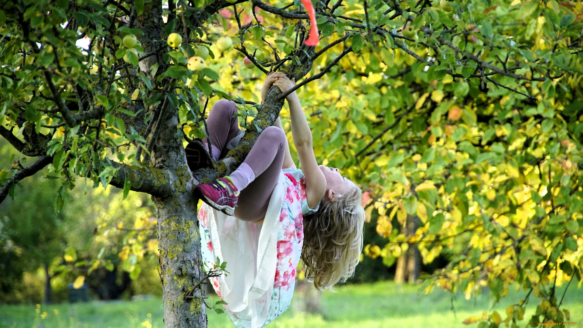 разное, дети, девочка, платье, колготки, дерево, яблоня