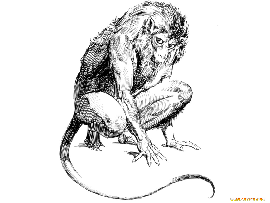 фэнтези, существа