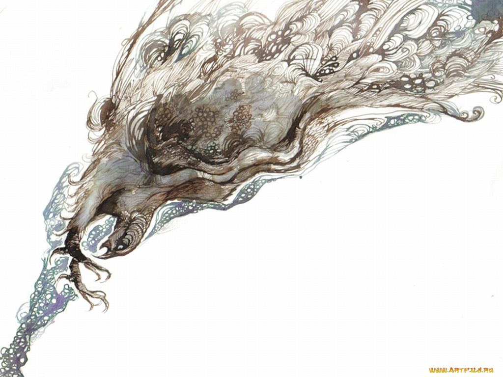 рисованные, животные, птицы, орлы