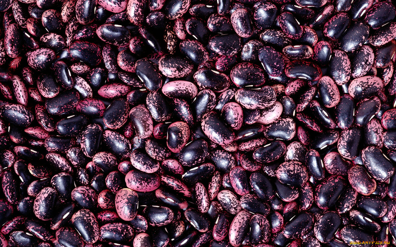 еда, бобовые