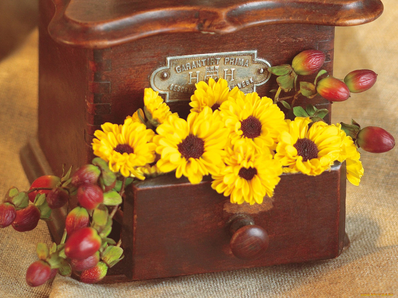 цветы, букеты, композиции