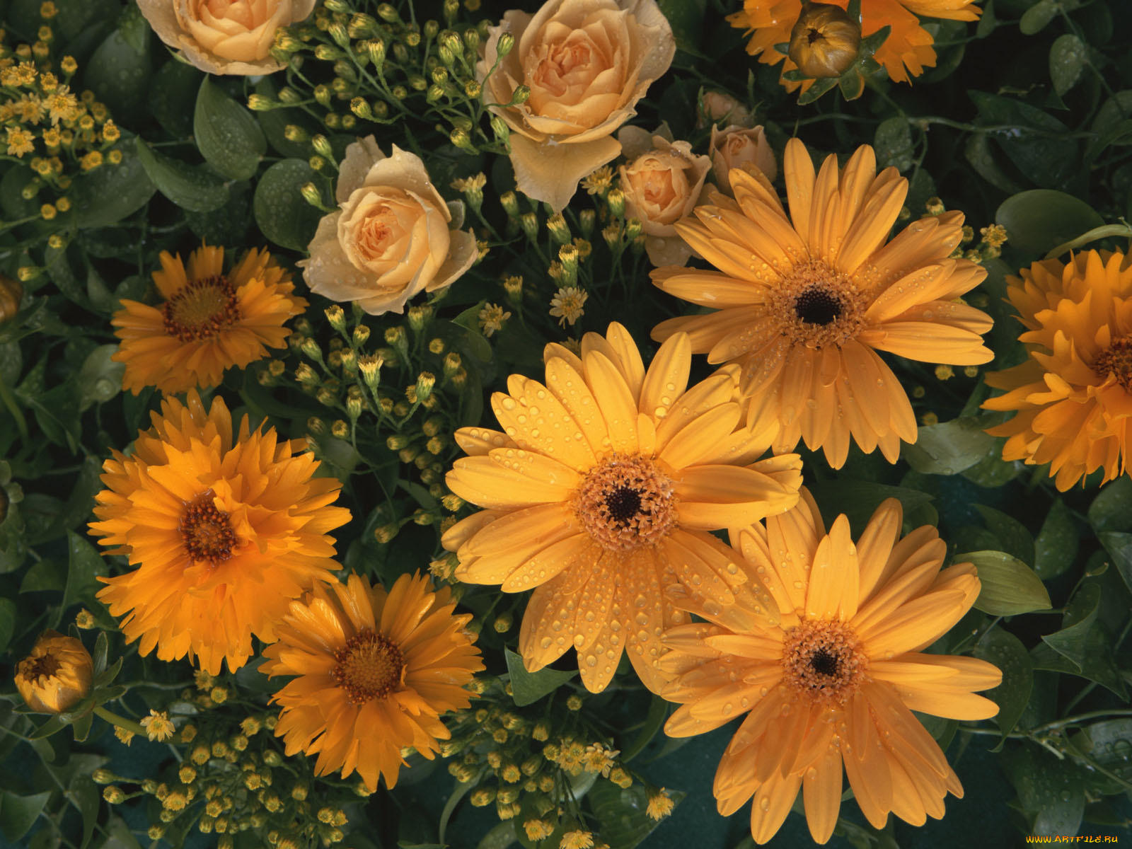 цветы, разные, вместе