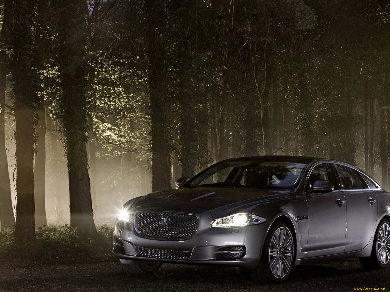 автомобили, jaguar